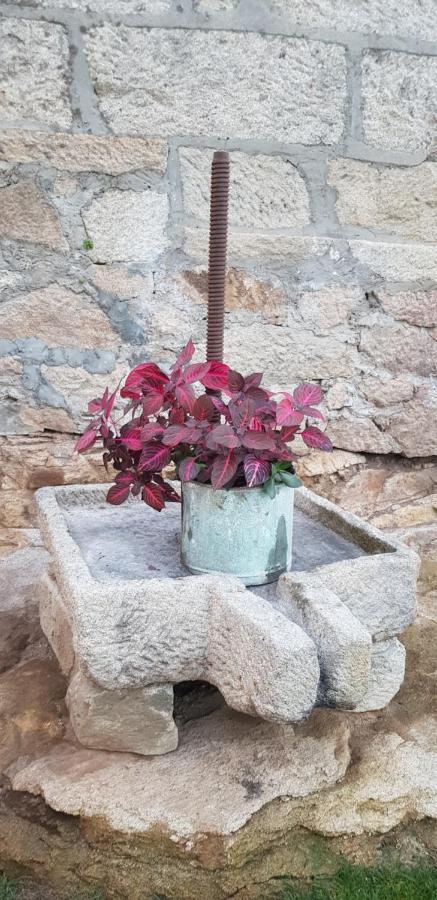 O Feixoal Villa Hio Kültér fotó